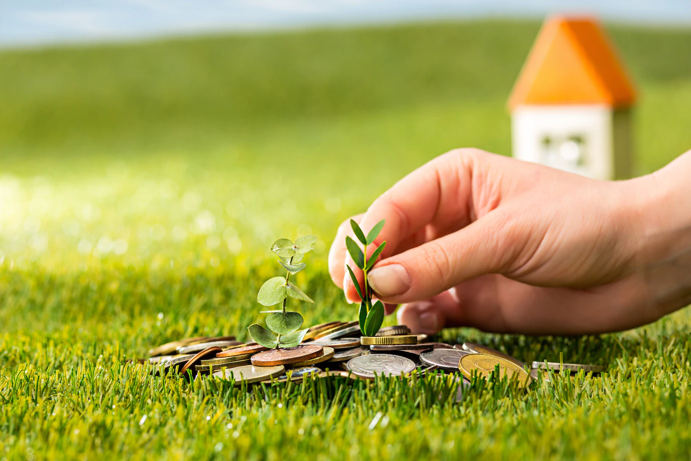 will_and_estate_planning